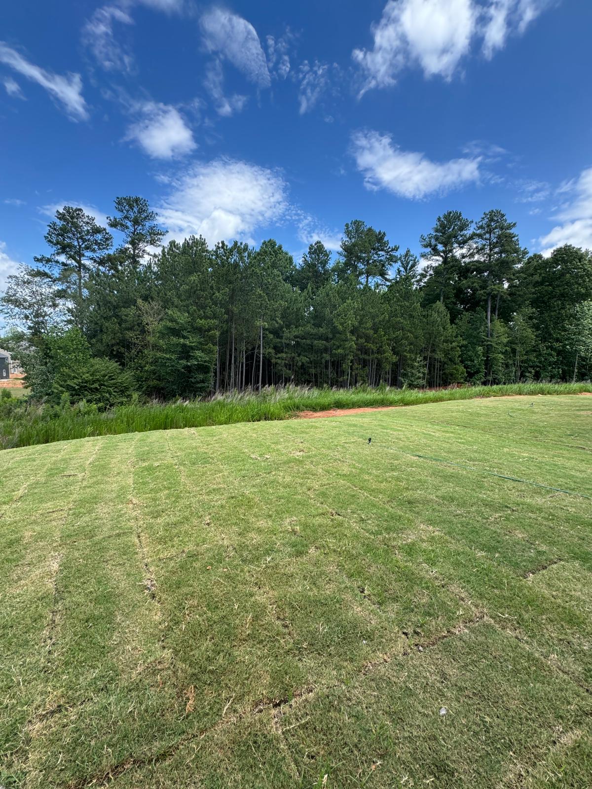 Charlotte Has More Homes for Sale. Why Aren't Buyers Moving Faster?